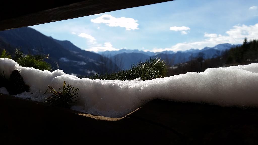 Eco Chalet Maison Dominique Challand-Saint-Anselme エクステリア 写真