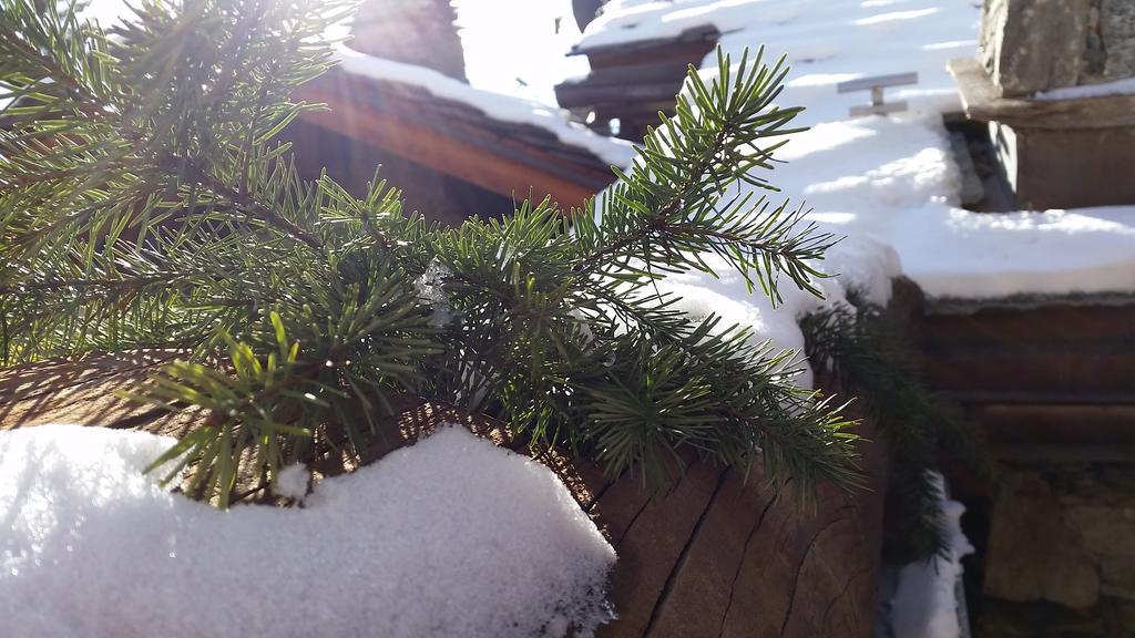 Eco Chalet Maison Dominique Challand-Saint-Anselme エクステリア 写真