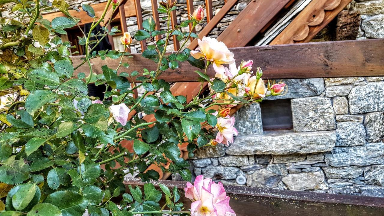 Eco Chalet Maison Dominique Challand-Saint-Anselme エクステリア 写真